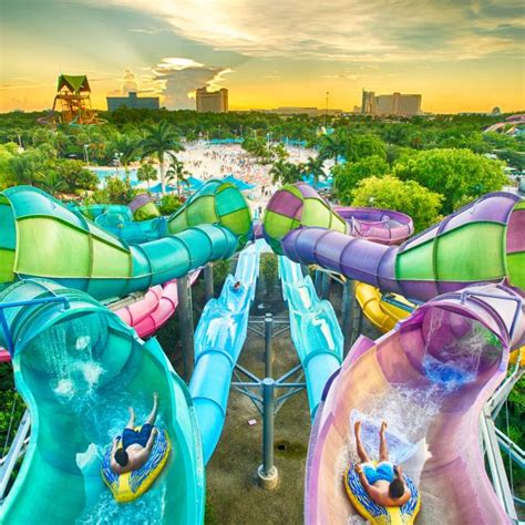 The Wonder Remains in Orlando to Create Lasting Memories - WDW Advisor Site