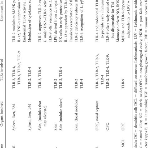 Leishmania and Toll-like receptor (TLR) immune response paradigm in... | Download Scientific Diagram