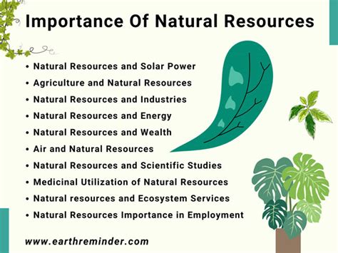 Importance of Natural Resources In Our Lives - Earth Reminder