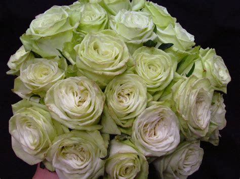 Florafino's Weddings: The "Green Rose" Bouquet