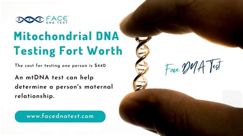 Mitochondrial DNA Testing Fort Worth - Face DNA Test