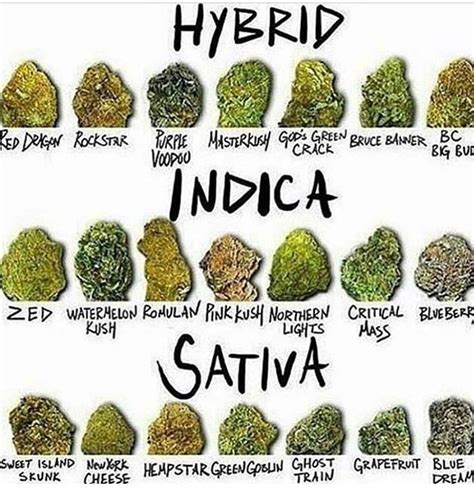 Different Types Of Weed Chart