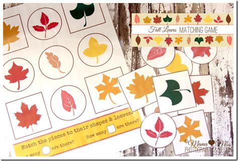 Fall Leaves Matching Game