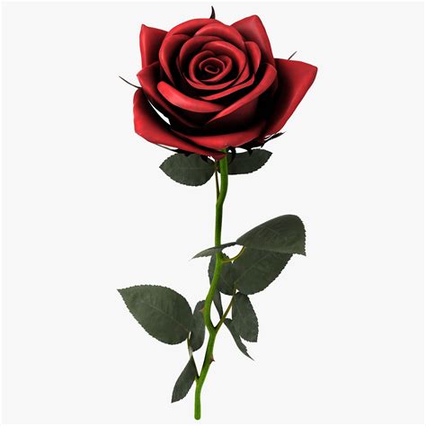 Rose Free 3D Model - .obj .mb .fbx - Free3D