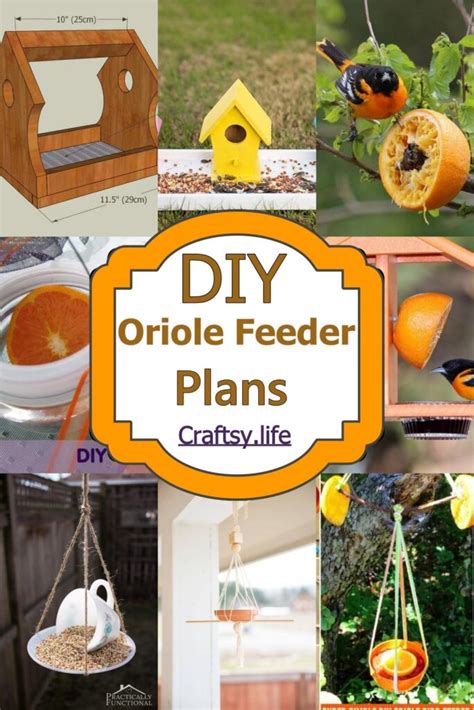 20 DIY Oriole Feeder Plans For Garden - Craftsy