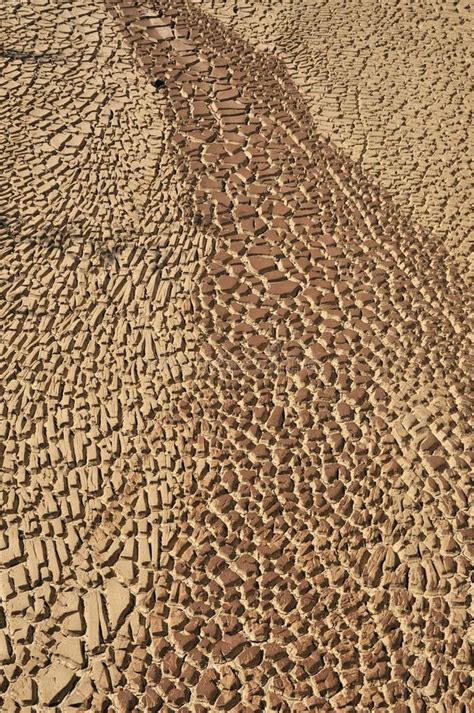 Arid Soil stock photo. Image of earth, nature, shrinkage - 14015060