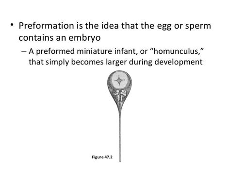 Human reproduction and development