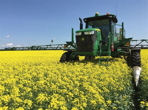 Canola 100 Challenge: The Central Alberta experience