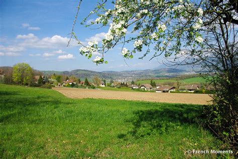 The French countryside in spring. // La campagne française au printemps. Photo taken yesterday ...