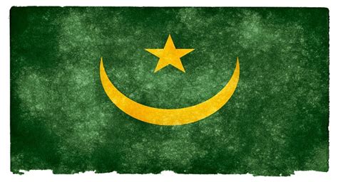 6 Mauritanian Presidential Hopefuls Conclude Campaigns