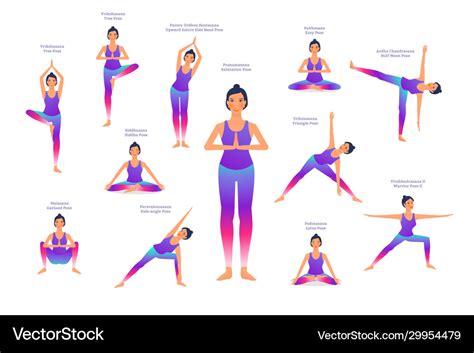 Set woman in different yoga poses names Royalty Free Vector