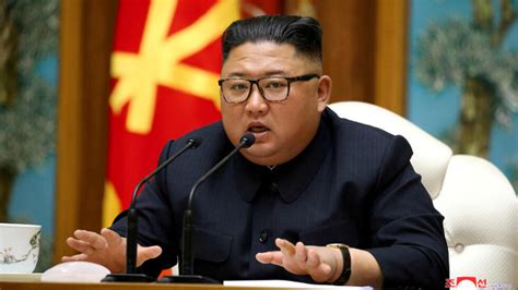 North Korea's Kim Jong-un is 'alive and well', says Seoul