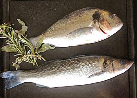 ingredientista.english: Sea bass and sea bream sous-vide (and what to do with leftovers)