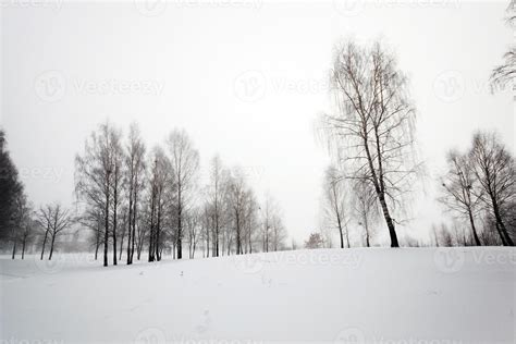 park in winter 9510119 Stock Photo at Vecteezy