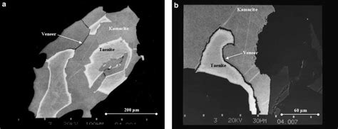 (a) BSE photograph of a composite kamacite-taenite metal grain. The ...