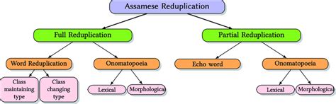 Types of Assamese reduplication [Dattamajumdar 1999]. | Download Scientific Diagram