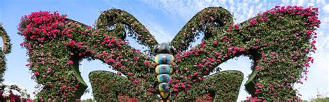 Dubai Butterfly Garden | Discount Tickets | Go City®