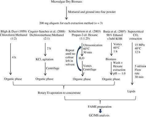 Brief overview of lipid extraction methods used. | Download Scientific ...