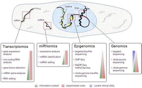 Biology | Free Full-Text | Next-Generation Sequencing: From ...