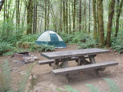 Tillamook State Forest Blog: Campgrounds