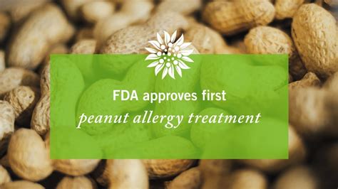 Peanut Allergy Treatment Approved