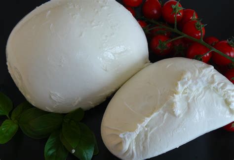 Italian Dairy Products offers buffalo mozzarella - Food & Beverage ...