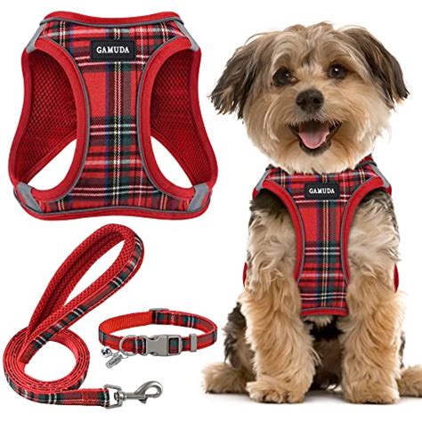 Best Harness for Small Dogs - Dogtime