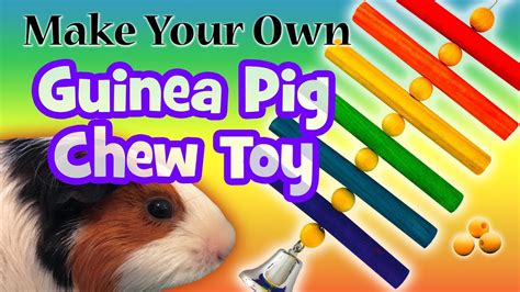 Homemade Guinea Pig Chew Toys | Wow Blog