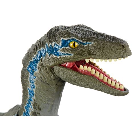 Jurassic World Velociraptor Blue 6-Inch Scale Amber Collection Action ...