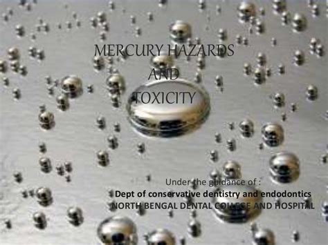 Mercury hazards and toxicity