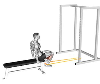 Seated One Leg Hamstring Curl Alternative | Elcho Table