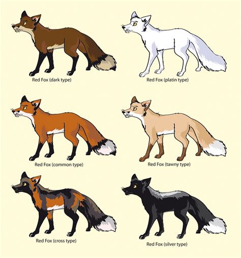 colour-variations of the "red" fox; vulpes vulpes | Flickr - Photo Sharing!