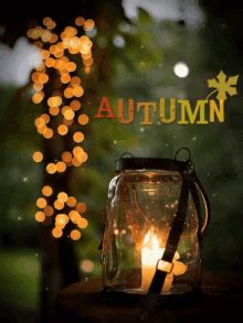 Autumn GIFs | Tenor