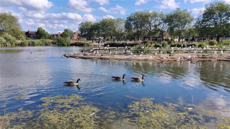 Walk around Jubilee Pond Wanstead Flats - YouTube