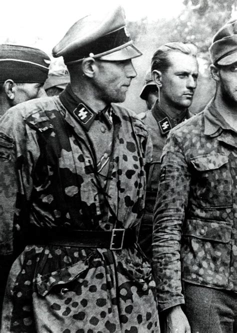 Division Waffen Ss Hofenstauffen