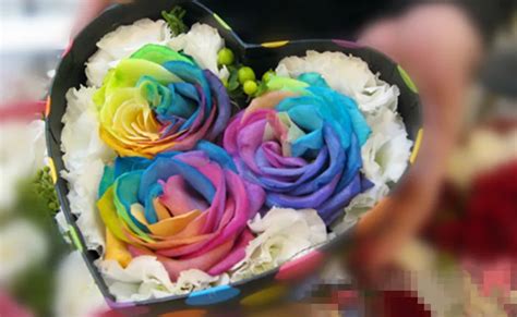 Beautiful Rainbow Rose Seeds Multi colored Rose seeds Rose Flower Seeds ...