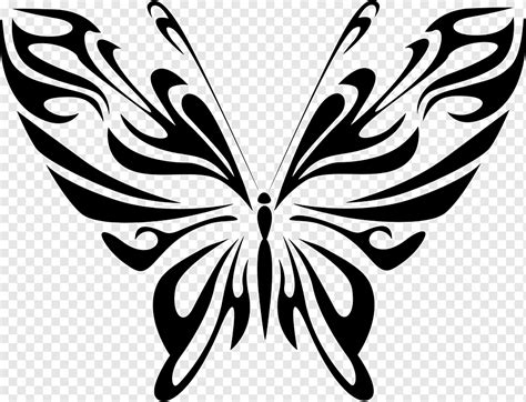 Butterfly Line art Drawing, butterflay, leaf, brush Footed Butterfly, monochrome png | PNGWing