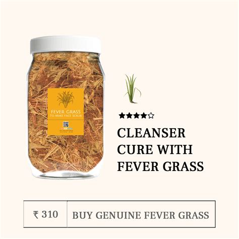 Cleanser for Oily Skin with Fever Grass by Try Our Herbs