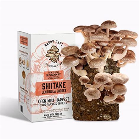 Grow Your Own Organic Mushroom Kit - Shiitake - Indoor Growing Kit by Happy Caps Mushroom Farm ...