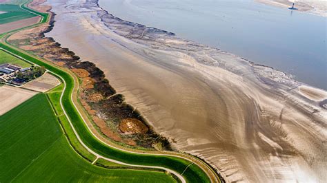 When dikes burst, salt marshes might lessen deadly flooding | Science | AAAS