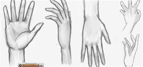 Pin by piinkmarilyn 👑 on art | How to draw hands, Drawings, Drawing illustrations