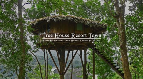 Tree House Resort In Jaipur