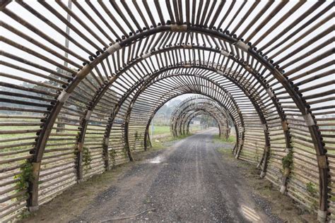 Bamboo tunnel stock image. Image of visit, plant, tourism - 59700761