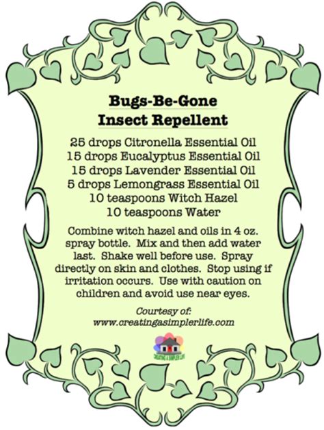 Homemade insect repellent