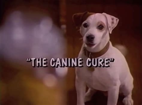 The Canine Cure | Wishbone Wiki | Fandom