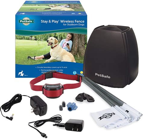 8 Best Wireless Dog Fence Systems of 2023 | Ultimate Guide