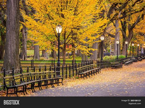 Central Park Mall New Image & Photo (Free Trial) | Bigstock