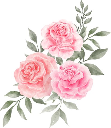 Pink Rose Flower Bouquet Arrangement Watercolor 9369546 PNG