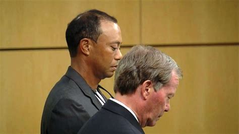 Tiger Woods pleads guilty to reckless driving after DUI arrest - ABC News