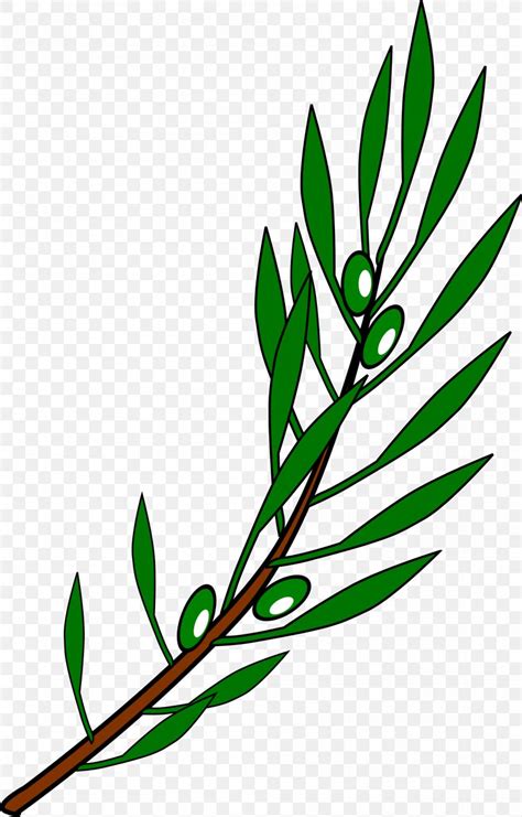 Olive Branch Mediterranean Cuisine Clip Art, PNG, 2000x3130px, Olive Branch, Artwork, Branch ...